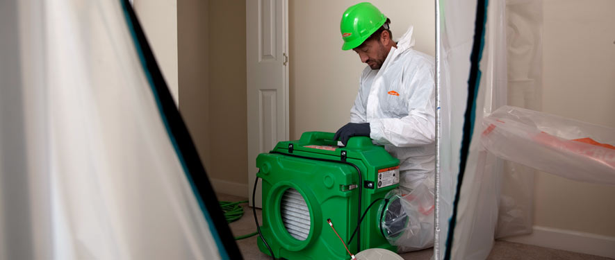 Hutto, TX mold cleanup