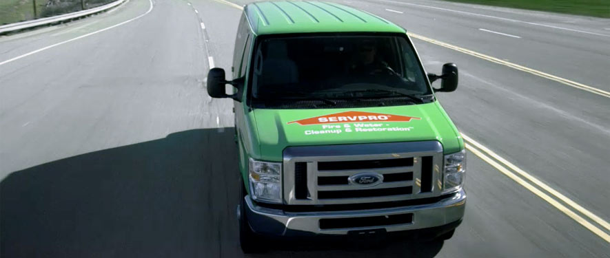 Hutto, TX mold remediation