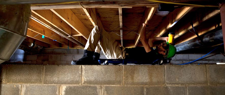 Hutto, TX mold removal